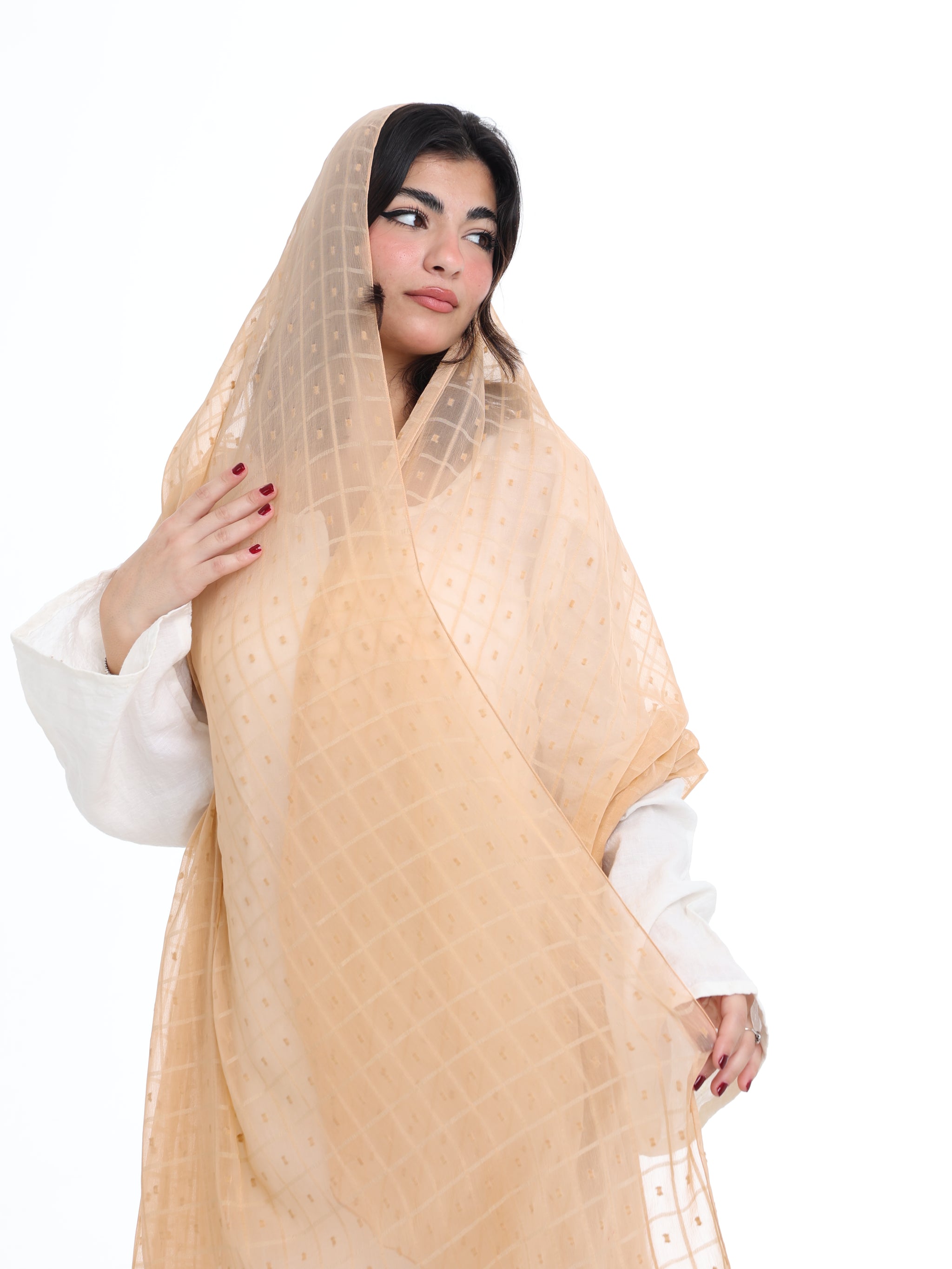 GR01_03 Border Embroidered Home Hijab — Beige