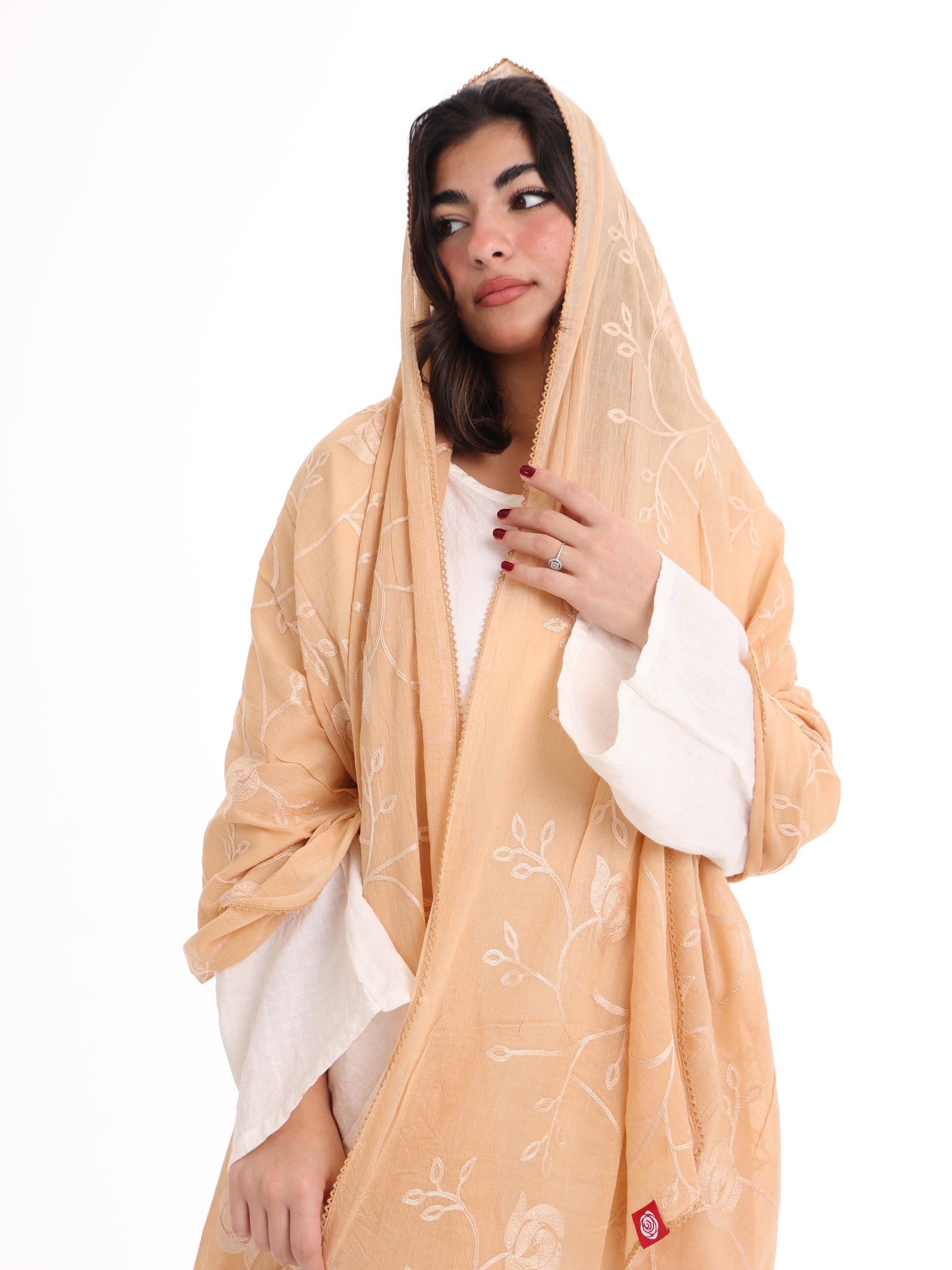 TR1_14 Border Embroidered Home Hijab — Beige