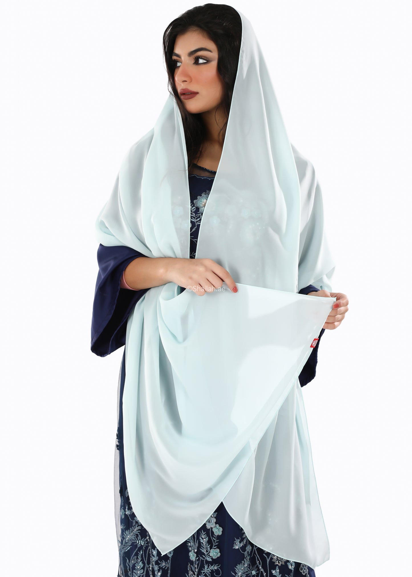 DS2-19 شيل دجى الليل سادة